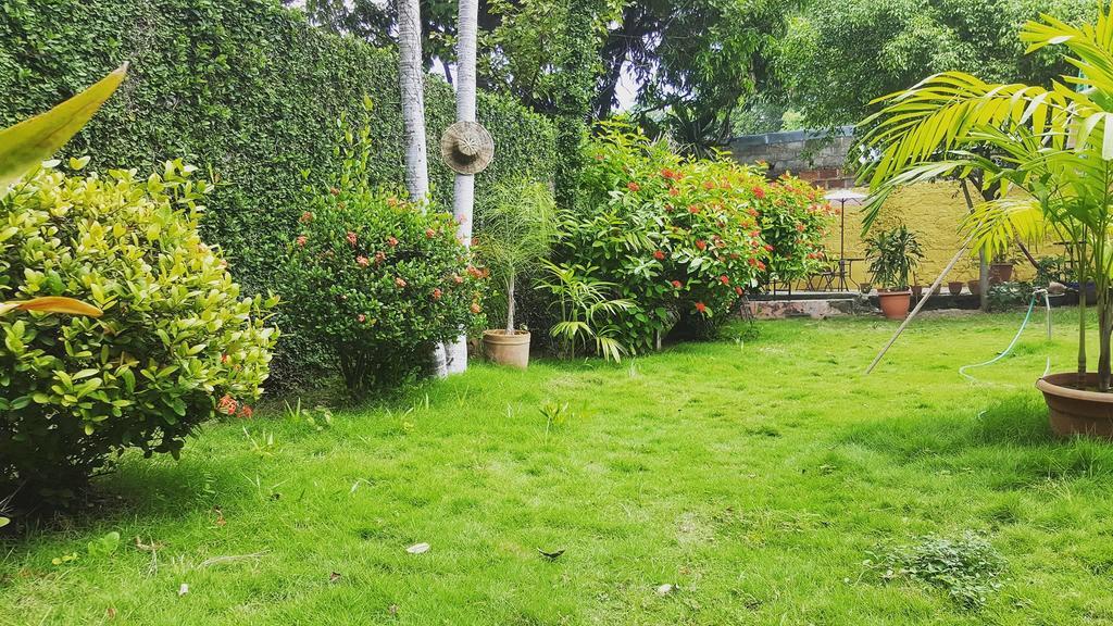 Hostal El Jardin León Eksteriør billede