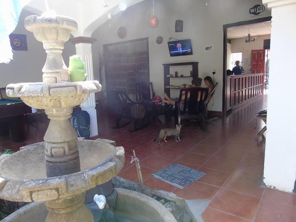 Hostal El Jardin León Eksteriør billede